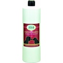 IV San Bernard čistiaci "Purifying" 1000 ml