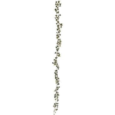 Girlanda z Holandského břečťanu, 180 cm