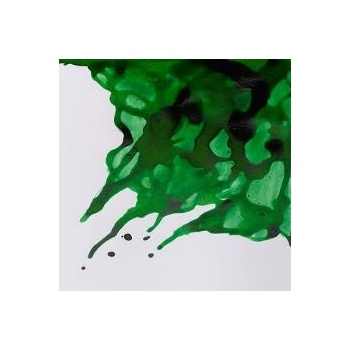 Winsor & Newton drawing INK Brilliant green