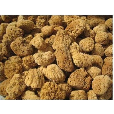 Naturgreen Přírodní mycí mořská houba Mycí houba Silk jemná exclusive 16-17 cm