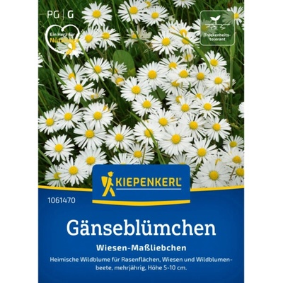 Kiepenkerlova sedmikráska "Luční sedmikráska" Bellis perennis