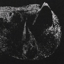 Demon Head - Viscera LP