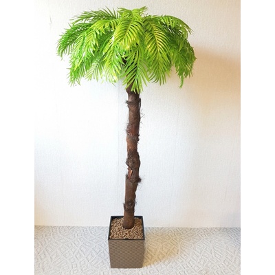 Umelá palma- svetlá s kôrou 200 cm