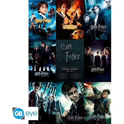 HARRY POTTER - Poster Maxi 91.5 x 61 cm - Collection*, FP2698