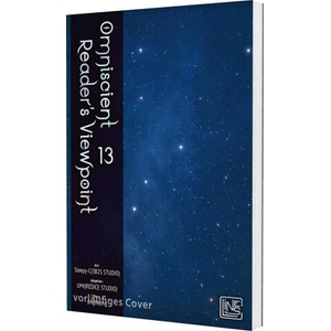 Omniscient Reader's Viewpoint 13 | Umi, Sleepy-C, Jessica Walther (ISBN: 9783551632272)