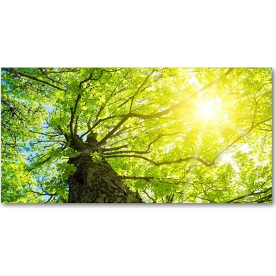 Foto obraz fotografie na skle gaštan jar 100x50 cm