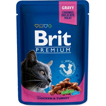 Brit Premium Cat Salmon & Trout 100 g