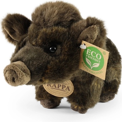 Rappa prasa divoké 20 cm
