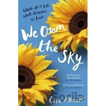 We Own The Sky