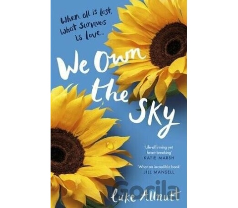 We Own The Sky