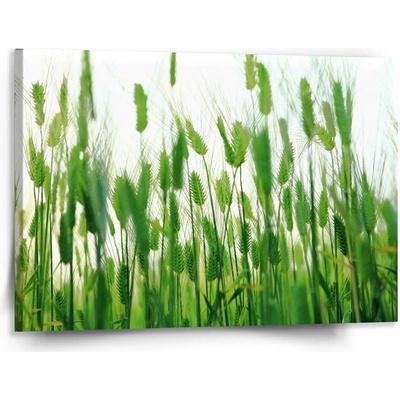 Sablio Obraz Klasy - 150x110 cm