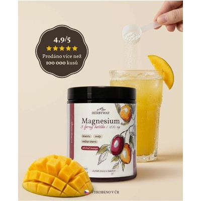 Herbs Energy Magnesium Drink Mango 2 x 30 dávek