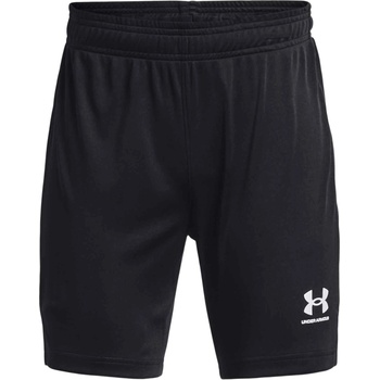 Under Armour CORE L