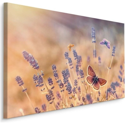 Plátno Motýli A Květy Levandule II. Varianta: 70x50