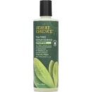 Desert Essence Hojivý šampón s tea tree 382 ml