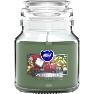 BISPOL Ароматна свещ Bispol Aura - Winter Tree, 120 g (snd71-348)