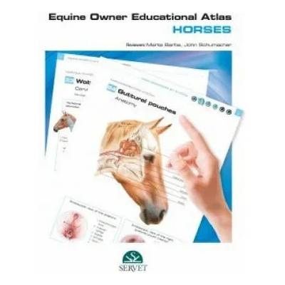 EQUINE OWNER EDUCATIONAL ATLASHORSES | MARTA BARBA RECREO
