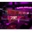 Disco Time 80s VR