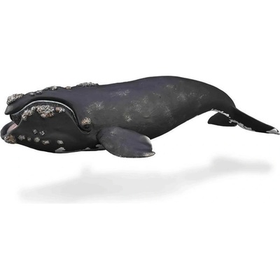 Collecta Velryba