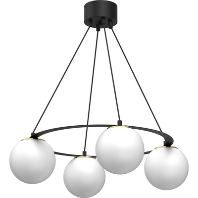 Luminex 5673