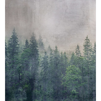 DIMEX MS-3-0353 vliesová fototapeta rozměry 225 x 250 cm