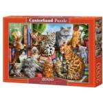 Castorland Puzzle 2000 pcs. House of Cats