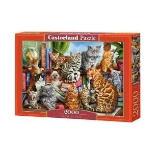 Castorland Puzzle 2000 pcs. House of Cats
