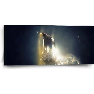 Sablio Obraz Orel - 110x50 cm