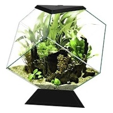 Ciano Aquarium Nexus Pure Diamond 14C černé 14 l