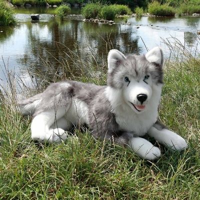 Eco-Friendly Rappa pes husky ležiaci 60 cm