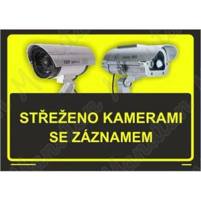 Střeženo kamerami se záznamem, samolepka 420 x 297 x 0,1 mm A3