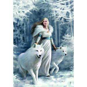 Clementoni Puzzle Compact Anne Stokes Collection - Winter Guardians 1000 pieces (39957)
