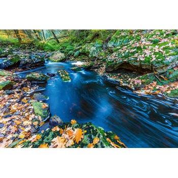 DIMEX ART s. r. o Флизелинов фототапет есенни порои 375 x 250 см