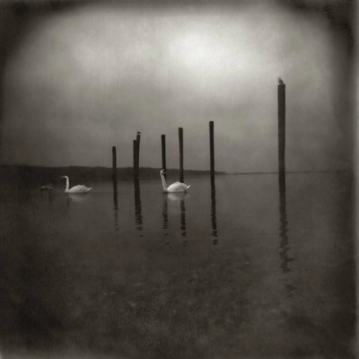 Om - Conference Of The Birds (CD)