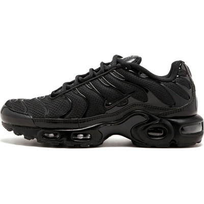 Nike Air Max Plus Triple Black 604133-050