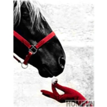 Image 1 of Предложение . . . 30/40 см