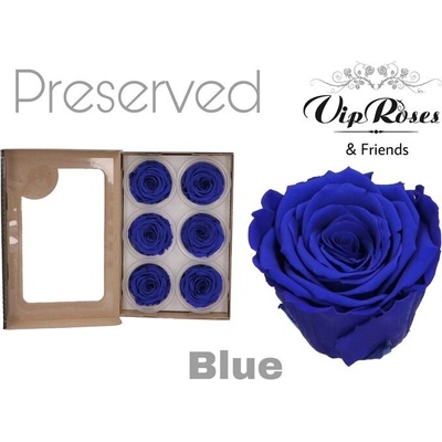 Стабилизирана вечна роза VIP Blue