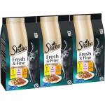Sheba Fresh & Fine консерви за котки, пилешко, пуйка и сьомга 3 x (6x50 g)