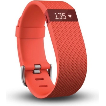 Fitbit Surge L