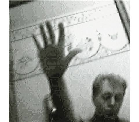 Paul McCartney Driving Rain