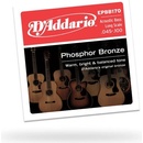 Daddario EPBB170