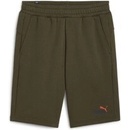Puma ESS+ 2 Col shorts 10 586766-76 Zelená