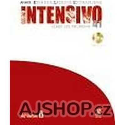 ANAYAELE INTENSIVO A1 LIBRO DEL PROFESOR - ALVAREZ, M. A.