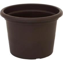 Plastkon Campanula 23 cm