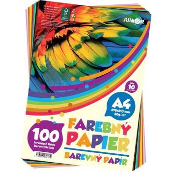 Цветна хартия Junior A4 100л. 80 g/m2 10 цвята (A4 100)