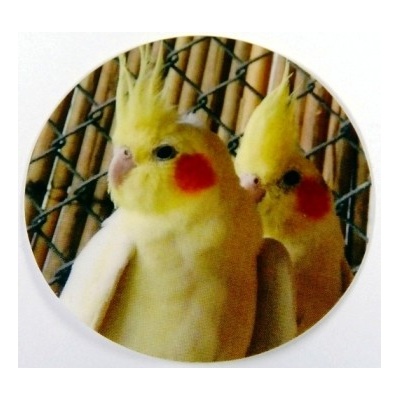 VIZINGR Korely MAXI logo – Sleviste.cz