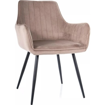 Signal Apple béžová