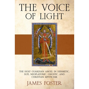 The Voice of Light | James Foster PhD (2026)