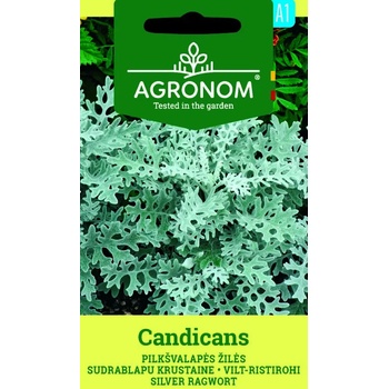 Image 1 of Seklos Сенецио Candicamas