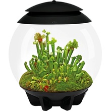 BiOrb Air Terrarium čierne 30 l